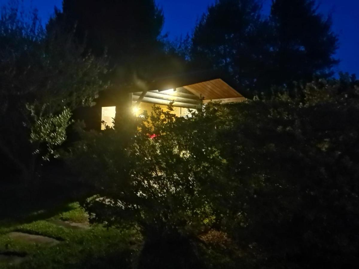 Villa Alice Lesa